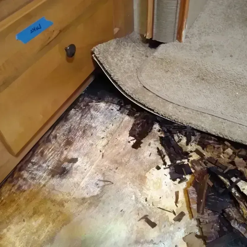 Wood Floor Water Damage in West Seneca, NY